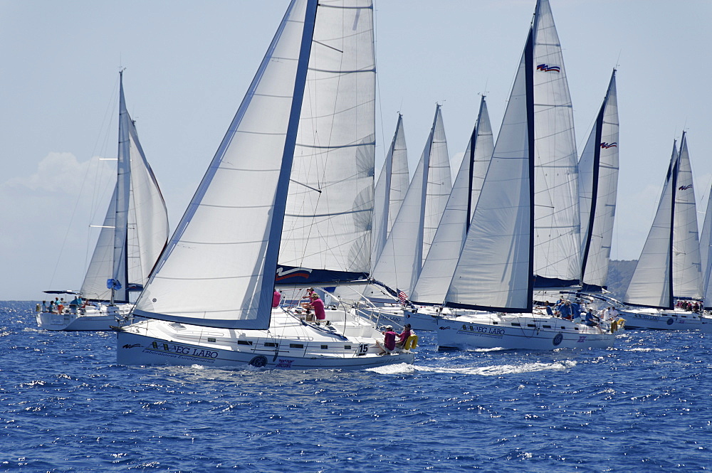 Sailboat regattas. British Virgin Islands, West Indies, Caribbean, Central America