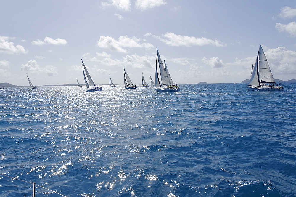 Sailboat regattas. British Virgin Islands, West Indies, Caribbean, Central America