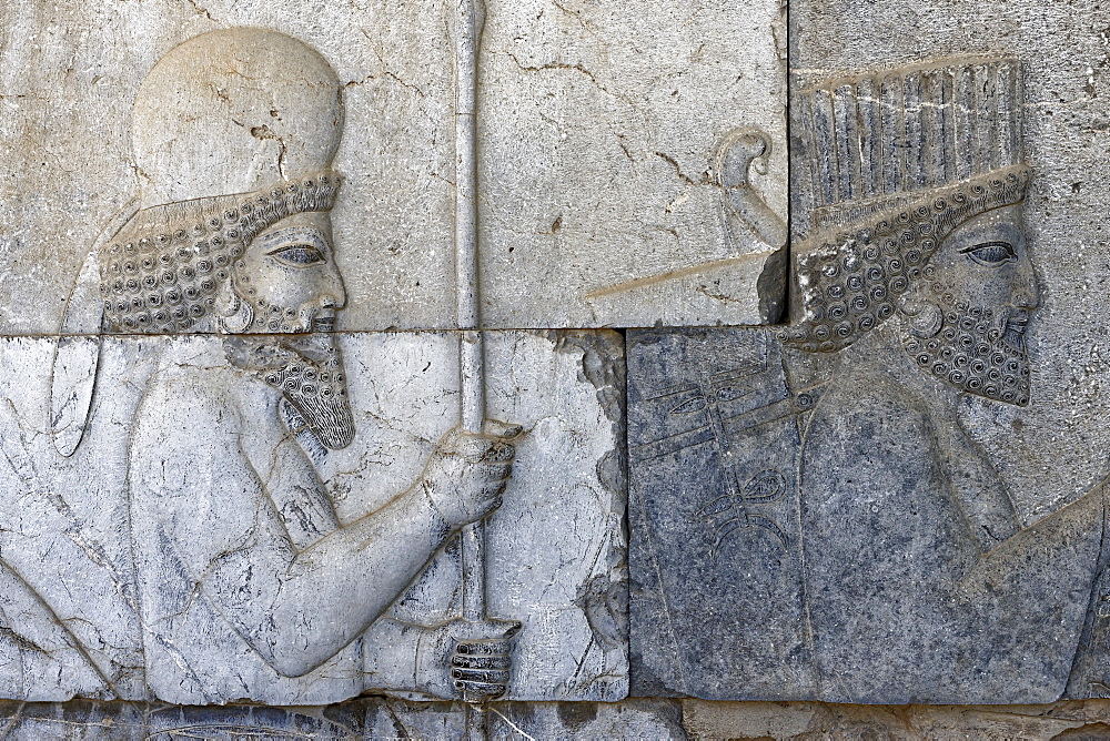 Depiction of united Medes and Persians, the monumental stairs of the Apadana, Persepolis, Iran, Middle East