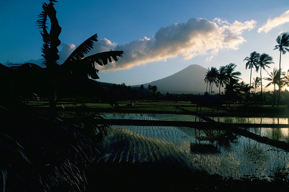 Reflections in water of rice paddies, Amed village, island of Bali, Indonesia, Southeast Asia, Asia