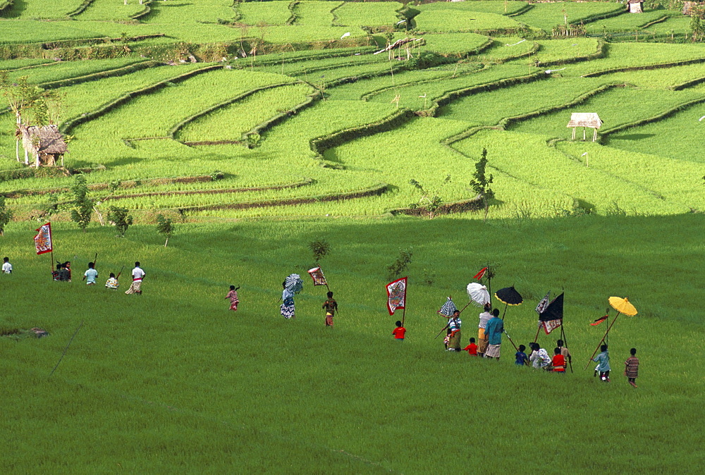 Procession through rice terraces ner Tenganan, eastern region, island of Bali, Indonesia, Southeast Asia, Asia