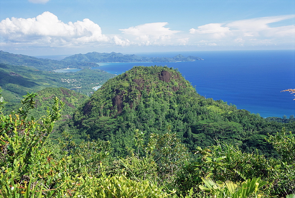 Les Hauts de Grand Anse, west coast, Island of Mahe, Seychelles, Indian Ocean, Africa