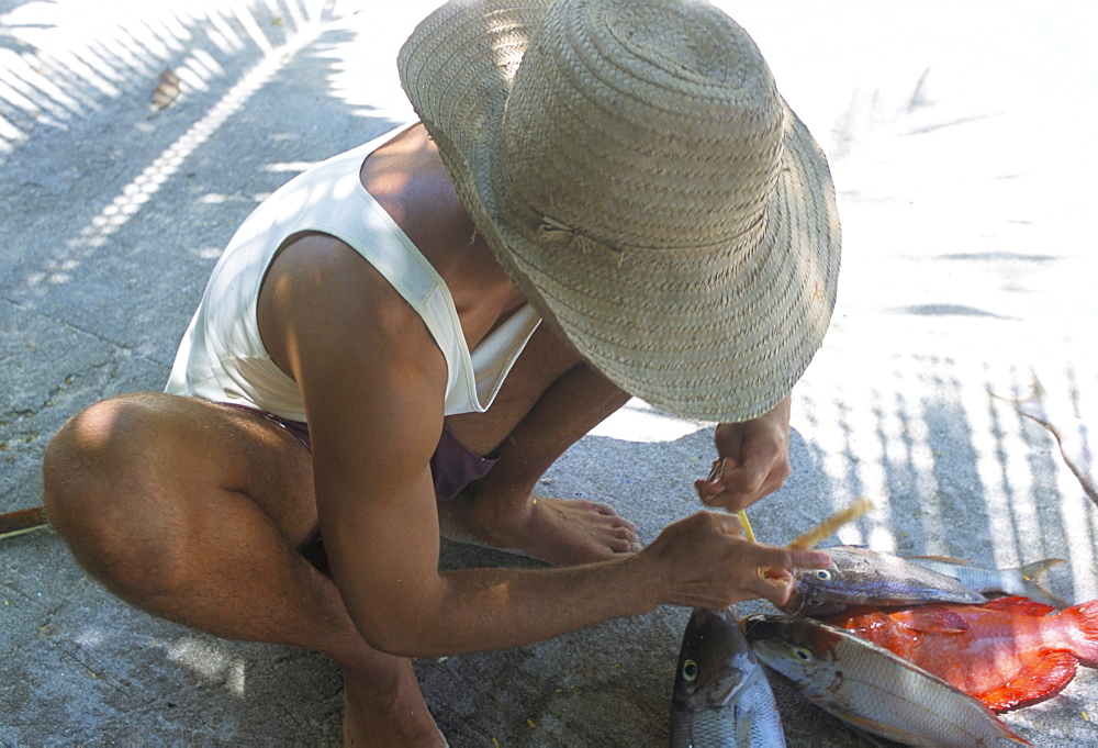 Fisherman and his catch, northeast coast, island of Praslin, Seychelles, Indian Ocean, Africa