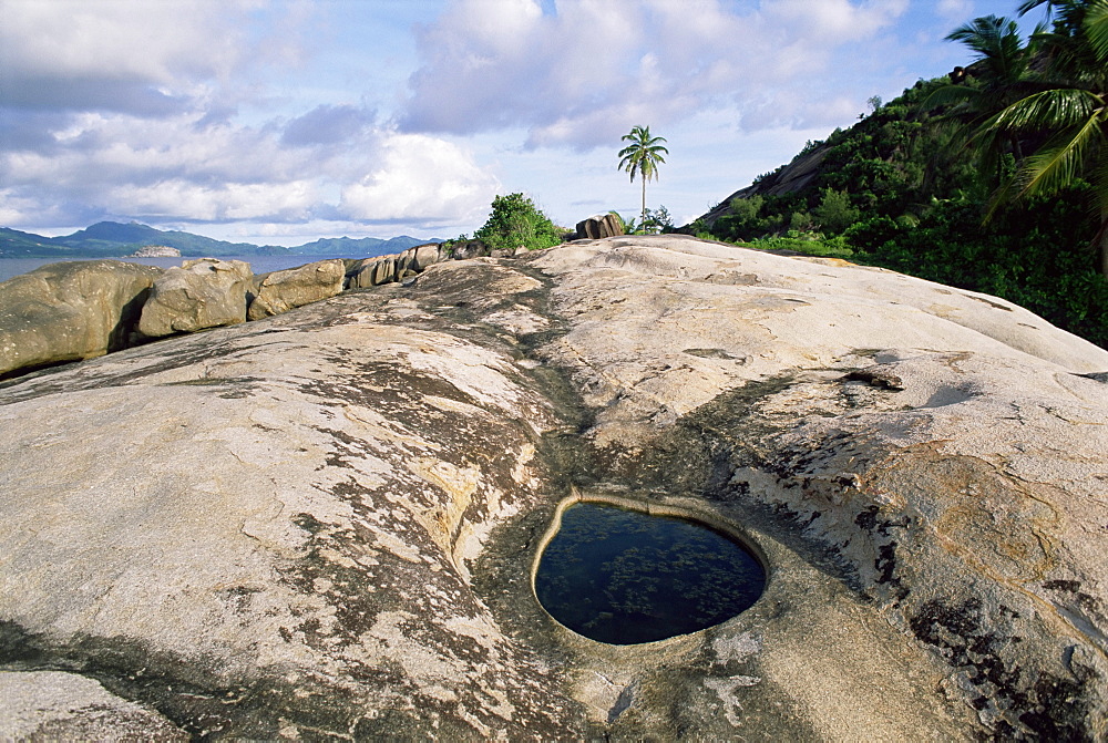 Small pool on rock, Ile Therese (Therese island), northwest coast, island of Mahe, Seychelles, Indian Ocean, Africa