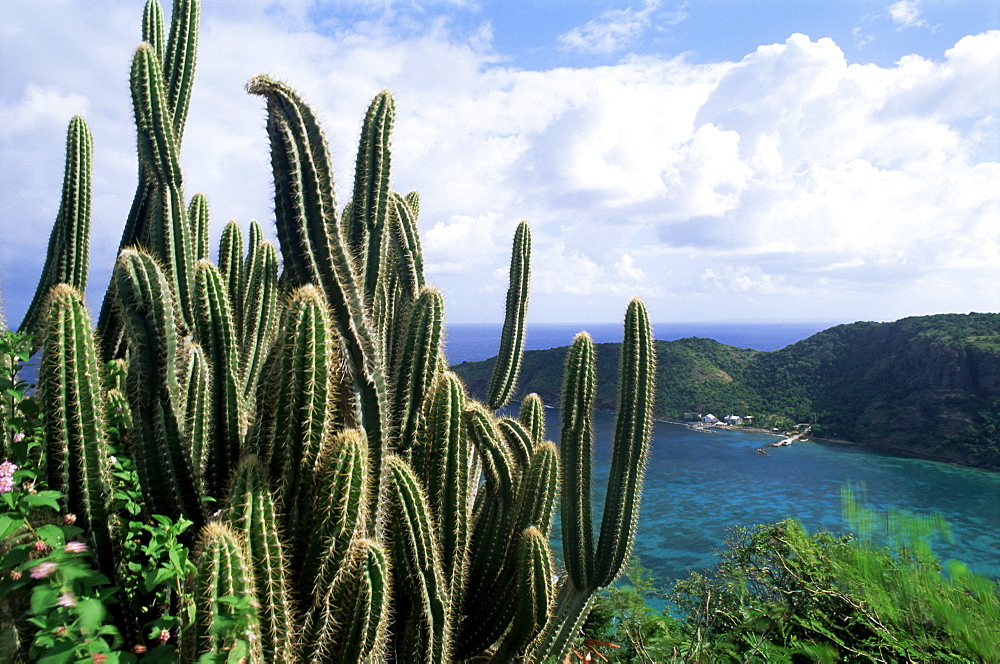 View from Fort Napoleon, Terre-de-Haut, Les Saintes, off Guadeloupe, French Antilles, West Indies, Central America