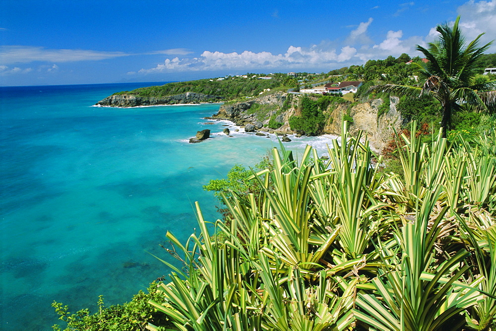 Guadeloupe, French Antilles, West Indies, Caribbean