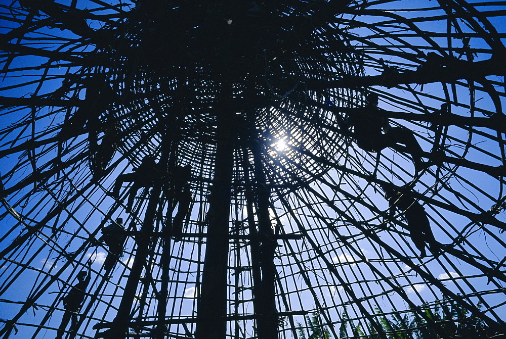 Constructing the roof of a large Ghraghe house, Shoa province, Ethiopia, Africa 