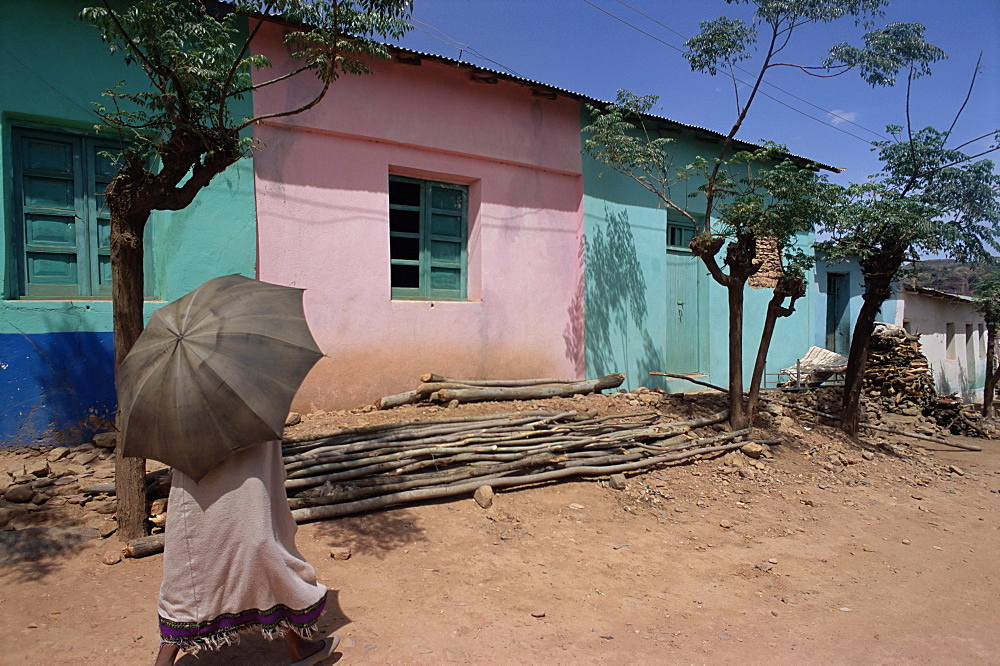 Street scene, village of Abi-Adi, Tigre region, Ethiopia, Africa