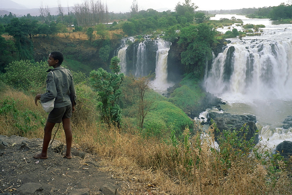 The Blue Nile Falls, near Lake Tana, Gondar region, Ethiopia, Africa