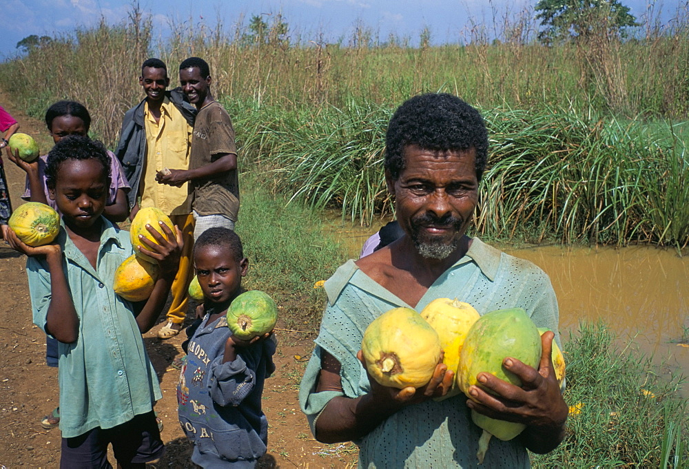 Papaya (pawpaw) sellers, Gambella region, Ilubador state, Ethiopia, Africa