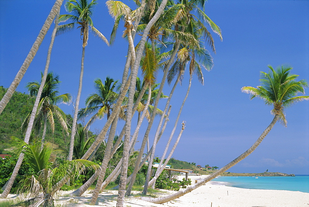 Johnson's Point beach, south-west coast, Antigua, Caribbean