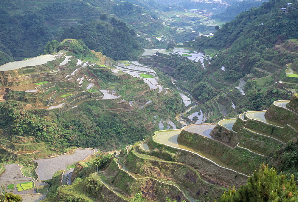 Rice terraces at Banaue, UNESCO World Heritage Site, northern region, island of Luzon, Philippines, Southeast Asia, Asia