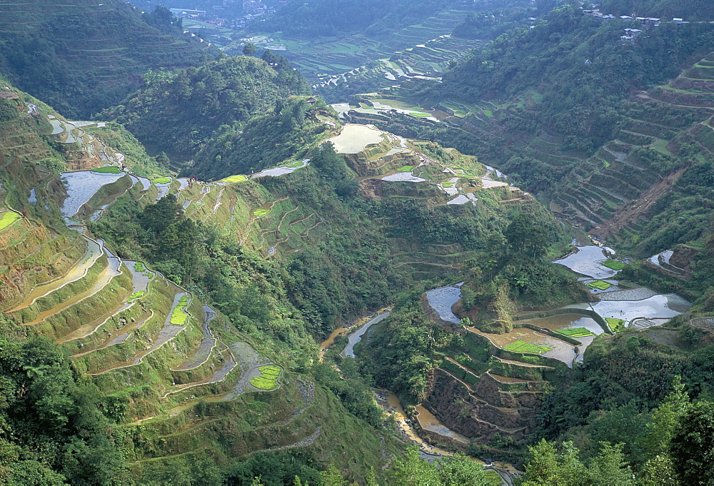 Banaue terraced rice fields, UNESCO World Heritage Site, northern area, island of Luzon, Philippines, Southeast Asia, Asia