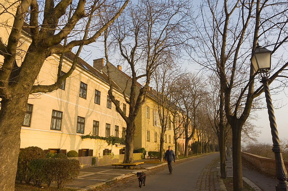 Man walking his dog, Hungary, Europe