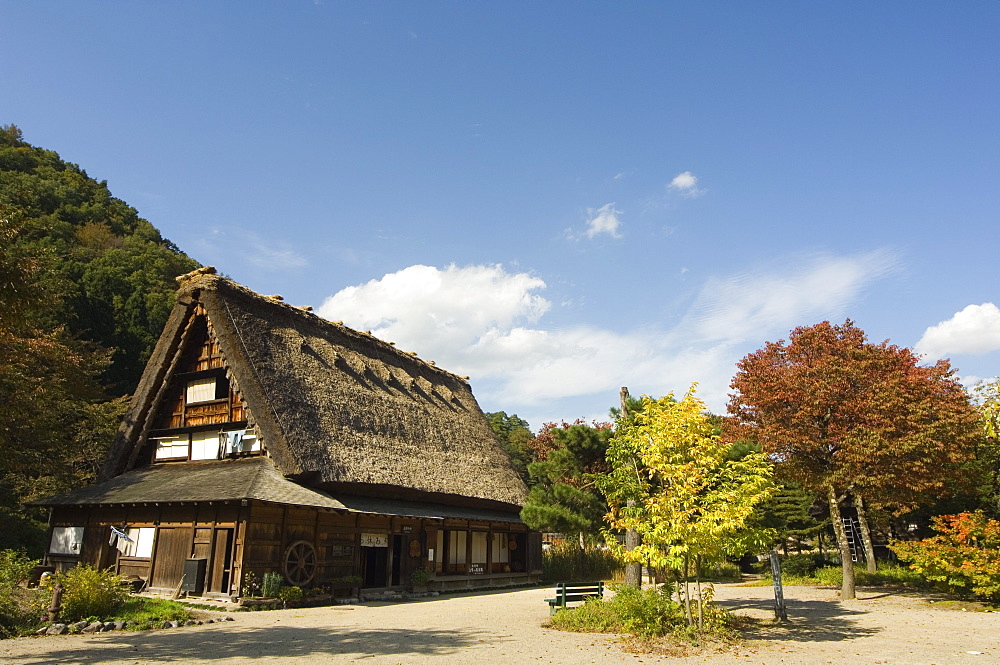 Autumn leaves, traditional gassho zukuri thatched roof houses, Shirakawa-go village, UNESCO World Heritage Site, Gifu prefecture, Japan, Asia