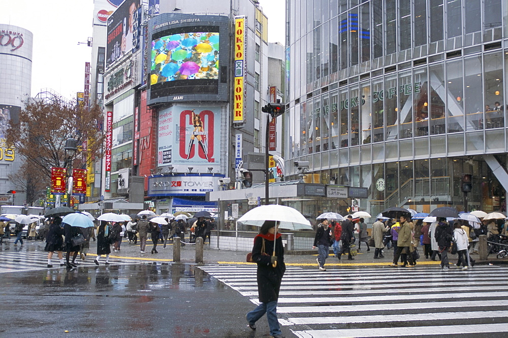 Street scene in the rain, Shinjuku, Tokyo, Japan, Asia