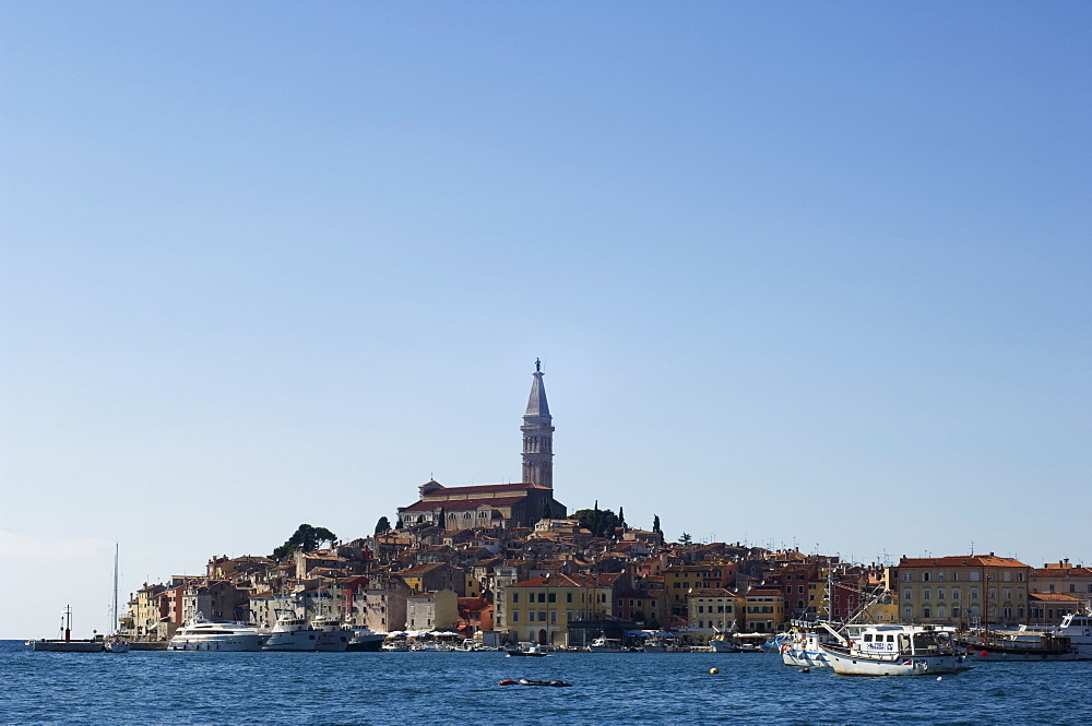 Old Town seafront houses and Cathedral of St. Euphemia dating from 1736, Rovinj, Istria Coast, Croatia, Europe