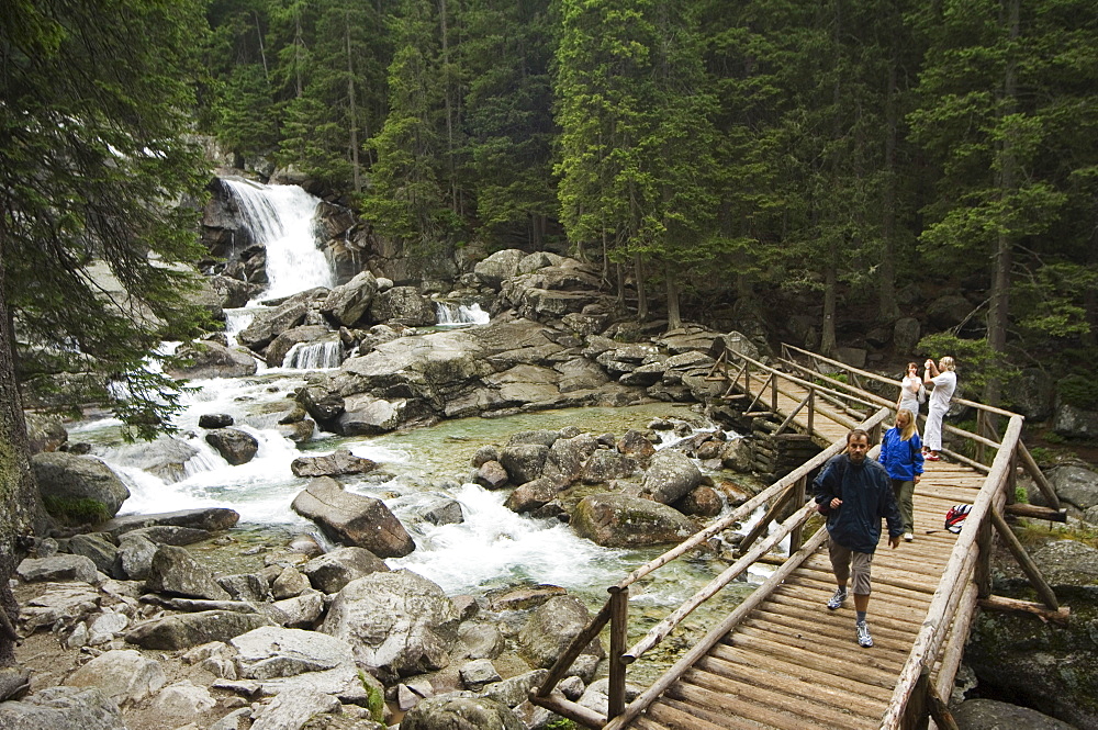 Obrovsky waterfall, High Tatras Mountains (Vyoske Tatry), Tatra National Park, Slovakia, Europe