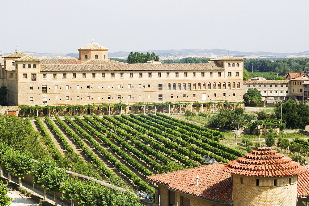 Vineyard and monastery, Olite, Navarra, Euskadi, Spain, Europe