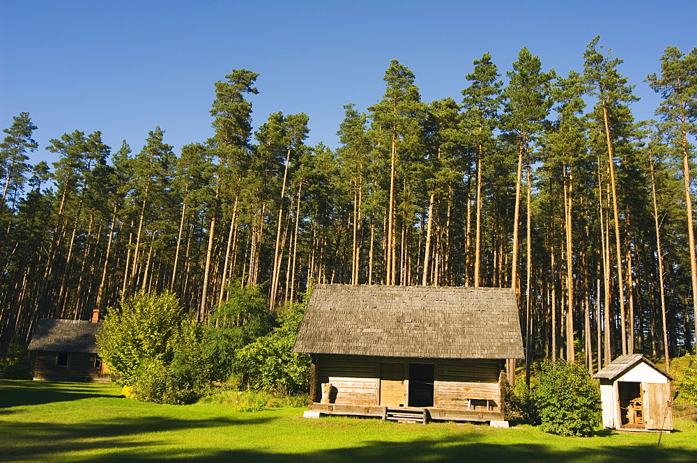 Birchwood roofed house, one of the traditional buildings from rural life in the Latvian Ethnographic Open-Air Museum, Riga, Latvia, Baltic States, Europe