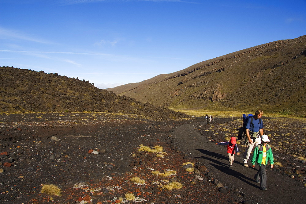 A family walking the Tongariro Crossing, Tongariro National Park, the oldest national park in the country, UNESCO World Heritage Site, Taupo Volcanic Zone, North Island, New Zealand, Pacific