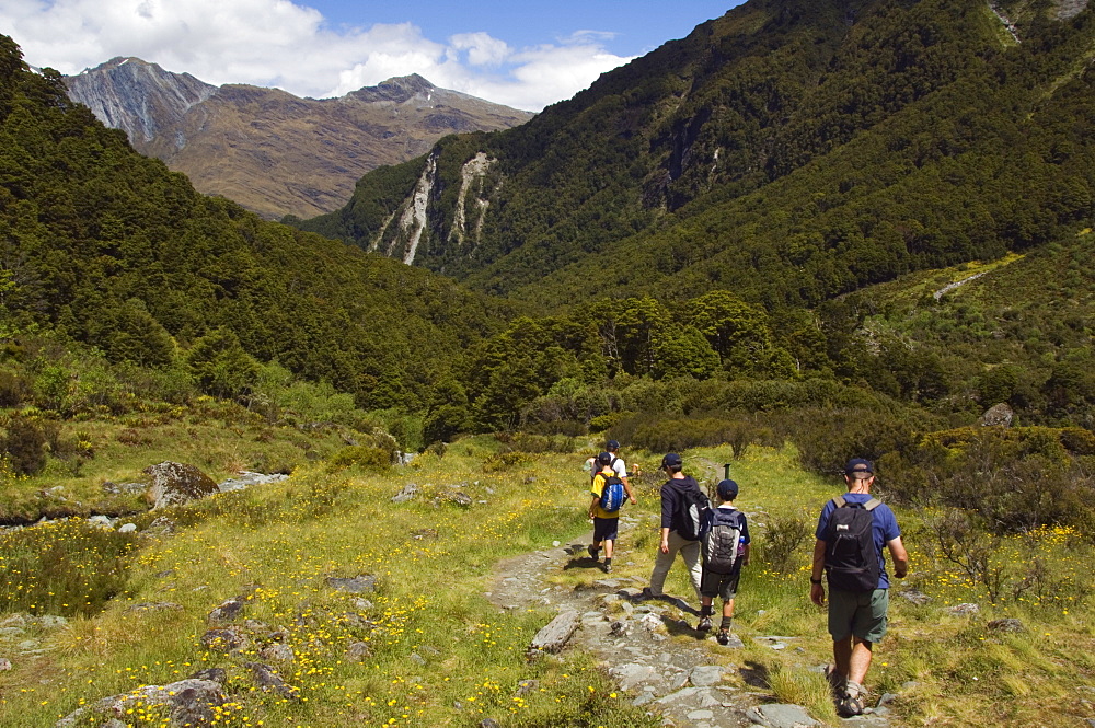 Hikers on Rob Roy Glacier Hiking Track, Mount Aspiring National Park, Otago, South Island, New Zealand, Pacific