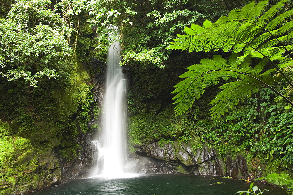 Malabsay Waterfall, Mount Isarog National Park, Bicol, southeast Luzon, Philippines, Southeast Asia, Asia