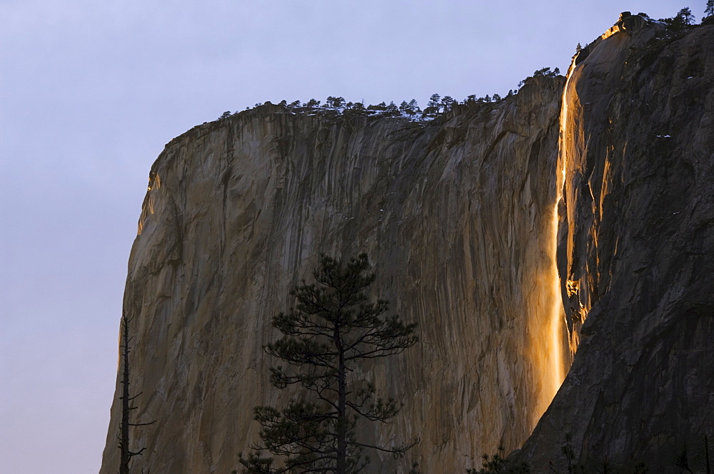 Late afternoon light on Horsetail Falls, a phenomenon which occurs only one or two days a year in late February due to the angle of the sun and snow melt on the cliffs, Yosemite Valley, Yosemite National Park, UNESCO World Heritage Site, California, United States of America, North America