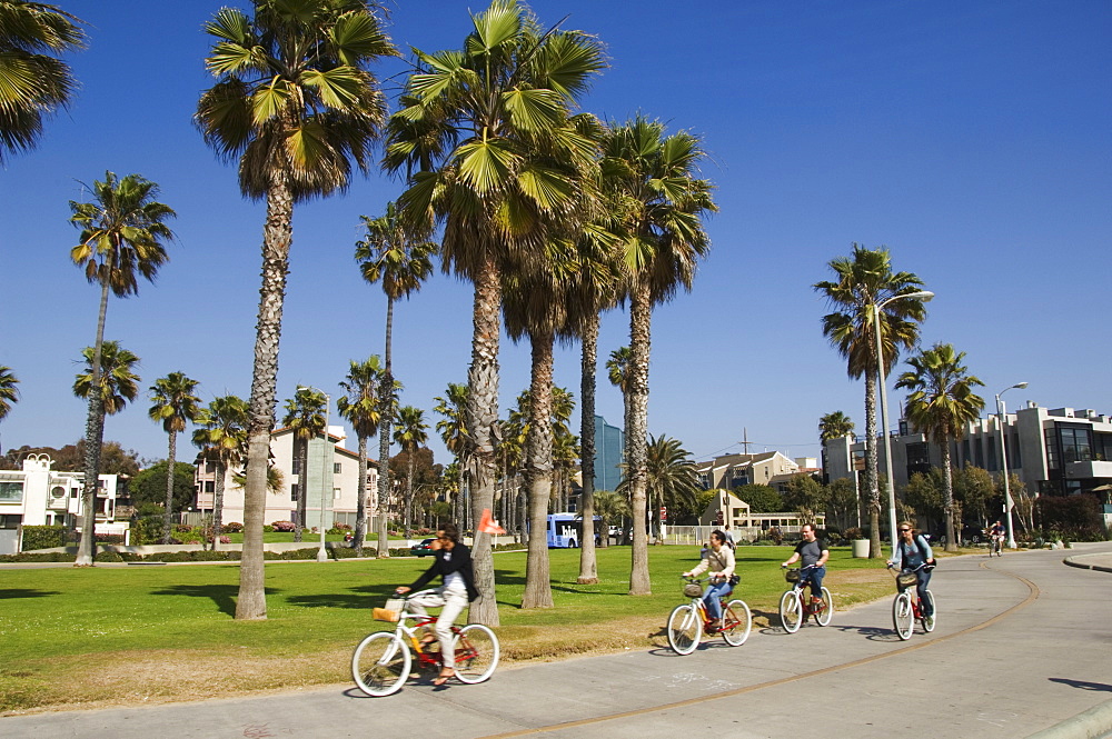 People cycling on the cycle path, Venice Beach, Los Angeles, California, United States of America, North America