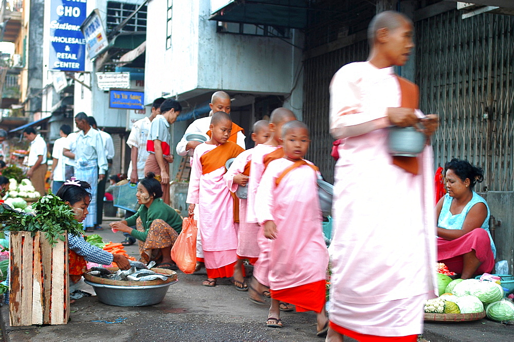 Nuns collecting morning alms, Yangon (Rangoon), Myanmar (Burma), Asia                     