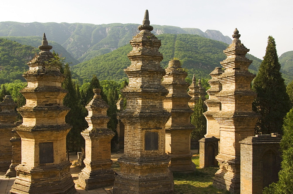 Pagoda Forest cemetery at Shaolin Temple, the birthplace of Kung Fu martial arts, Shaolin, Henan Province, China, Asia