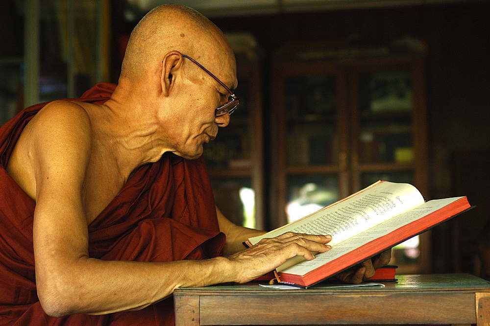 Monk studying at Kyauk Htat Gyi Pagoda, Yangon (Rangoon), Myanmar (Burma), Asia