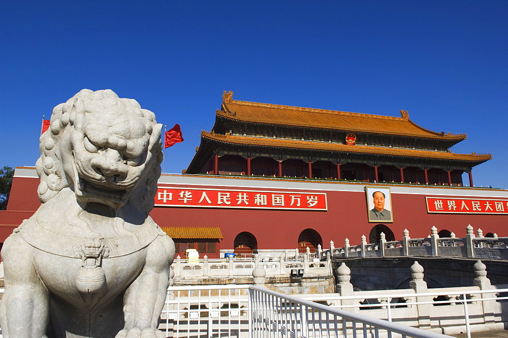 A lion statue at the Gate of Heavenly Peace at the Forbidden City Palace Museum, Beijing, China, Asia