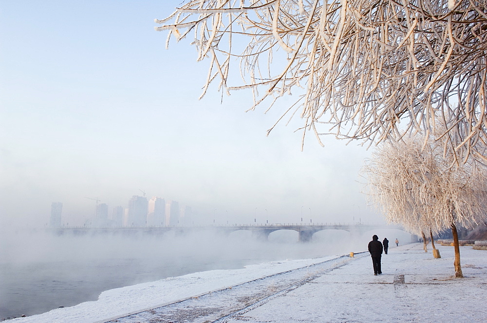 Mist rising off Songhua River and ice covered trees in winter, Jilin City, Jilin Province, Northeast China, China, Asia