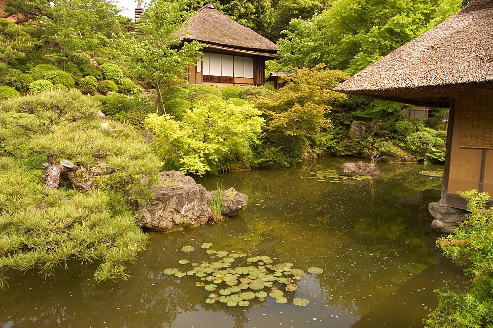 Traditional garden, Eastern Hills, Kyoto, Honshu island, Japan, Asia