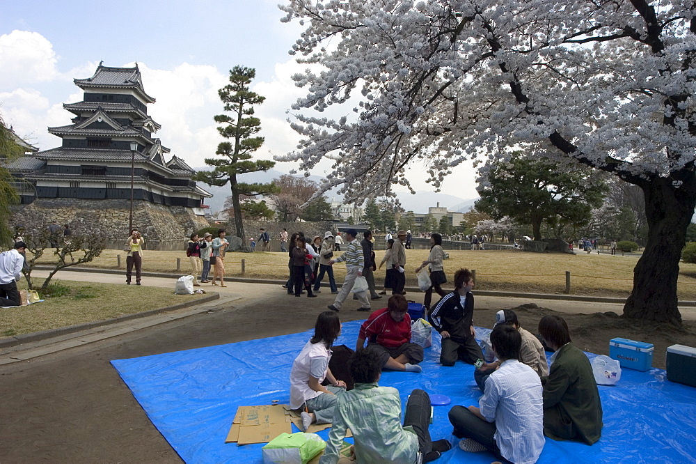 Cherry blossom viewing, hanami, Matsumoto Castle, Matsumoto city, Nagano prefecture, Honshu island, Japan, Asia