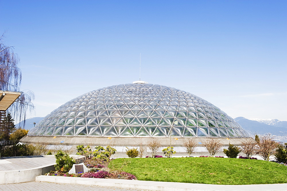 Bloedel Floral Conservatory arboretum, in Queen Elizabeth Park, Vancouver, British Columbia, Canada, North America