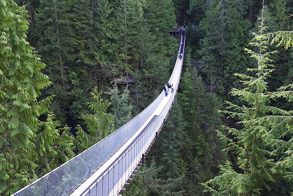 Tourists in Capilano Suspension Bridge and Park, Vancouver, British Columbia, Canada, North America