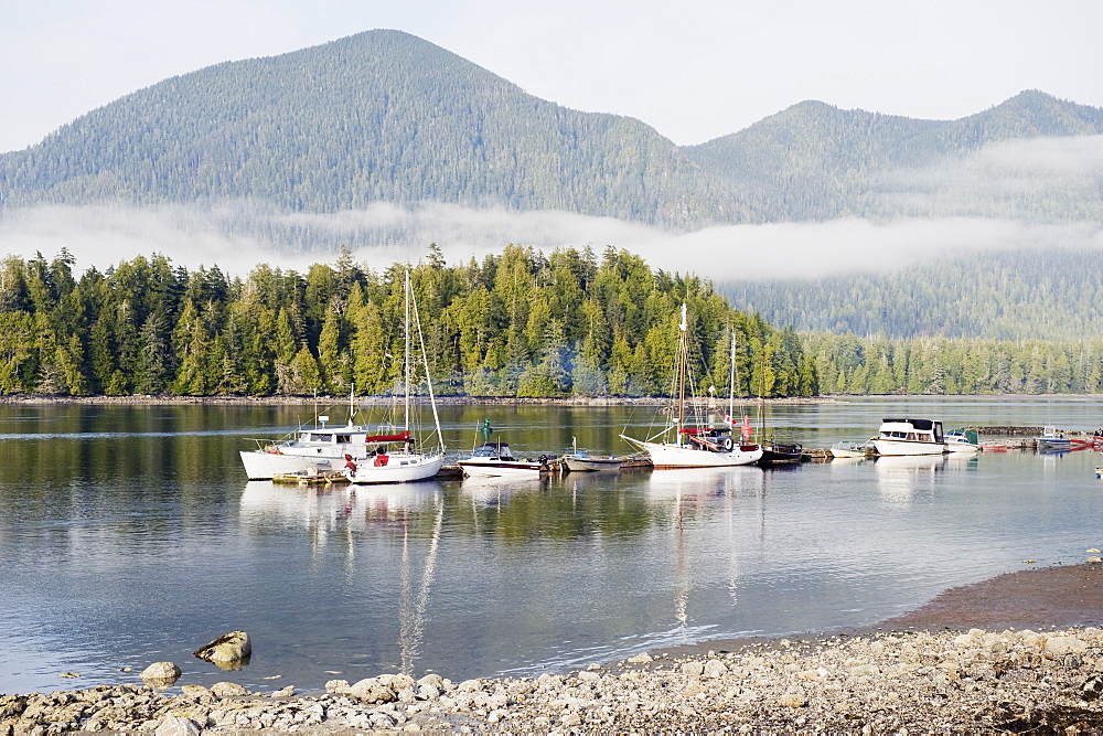 Boats moored at Tofino, Pacific Rim National Park Reserve, Vancouver Island, British Columbia, Canada, North America