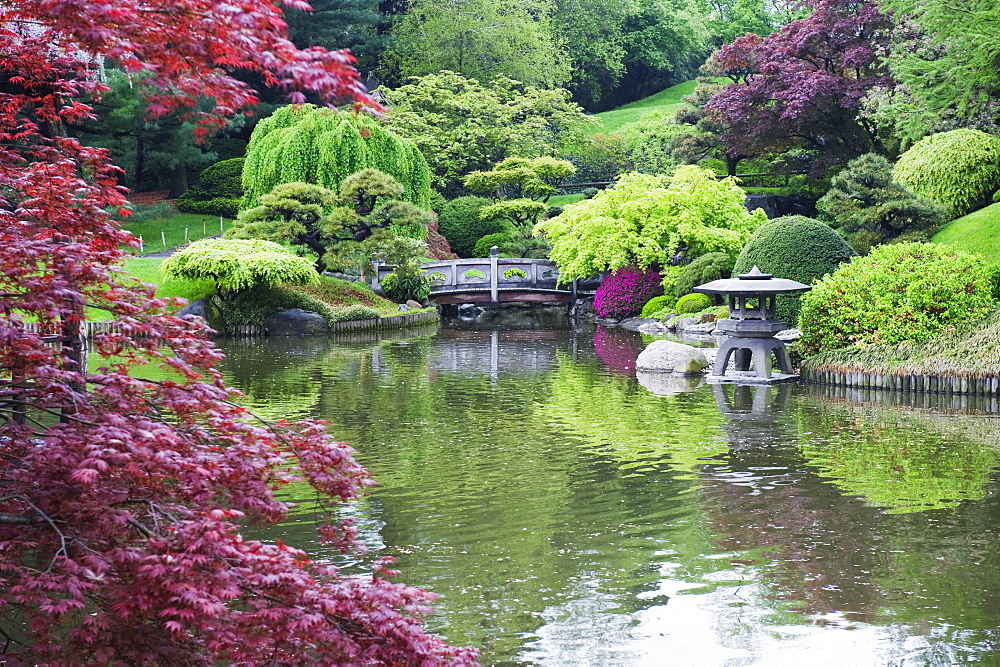 Japanese garden, Brooklyn Botanical Garden, Brooklyn, New York City, New York, United States of America, North America