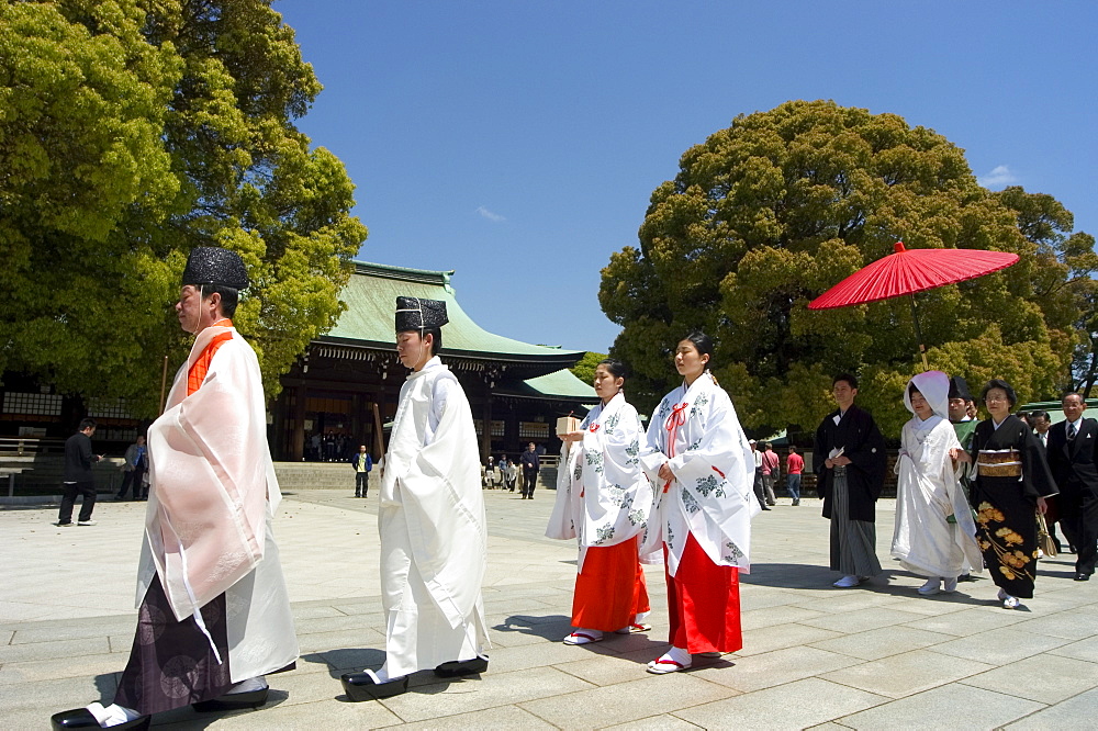 Traditional wedding ceremony, Meiji Jingu shrine, Tokyo City, Honshu Island, Japan, Asia