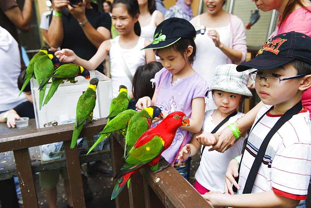 Children feeding parakeets in World of Parrots, KL Bird Park, Kuala Lumpur, Malaysia, Southeast Asia, Asia