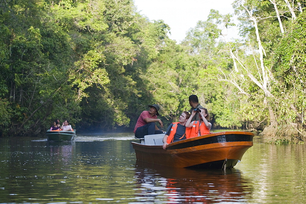 Tour boats, Sungai Kinabatangan River, Sabah, Borneo, Malaysia, Southeast Asia, Asia