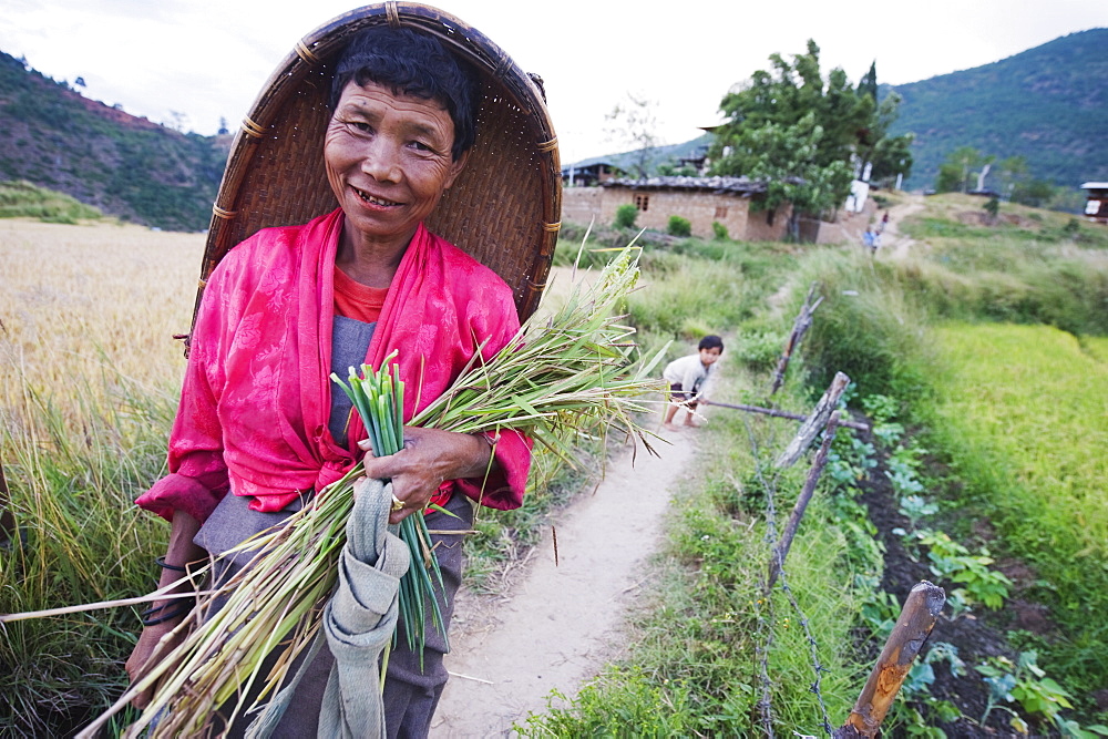 A local woman working in the fields, Punakha, Bhutan, Asia