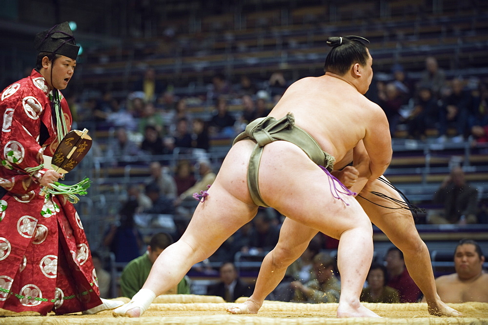 Fukuoka Sumo competition, Kyushu Basho, Fukuoka city, Kyushu, Japan, Asia