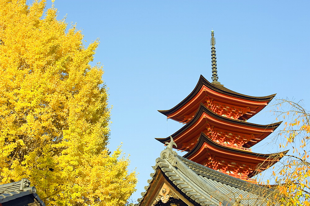 Pagoda and gingko trees, Itsukushima Shrine, UNESCO World Heritage Site, Miyajima Island, Hiroshima prefecture, Japan