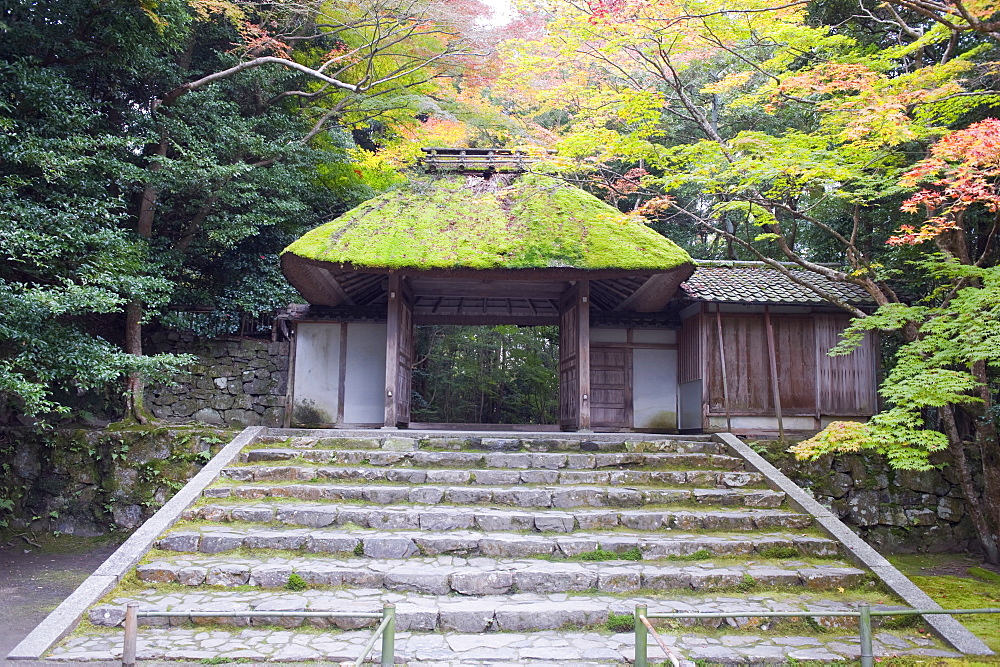 Autumn colours and moss covered entrance, Honen in temple dating from 1680, Kyoto, Japan, Asia