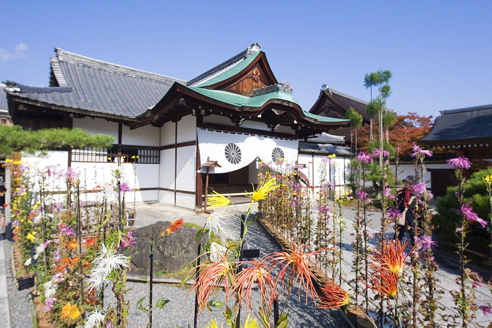 Ikebana flower arrangement, Daikaku ji (Daikakuji) Temple, dating from 876, Sagano area, Kyoto, Japan, Asia