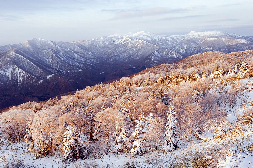 Sunrise over snow covered Towada Hachimantai National Park, Iwate prefecture, Japan, Asia