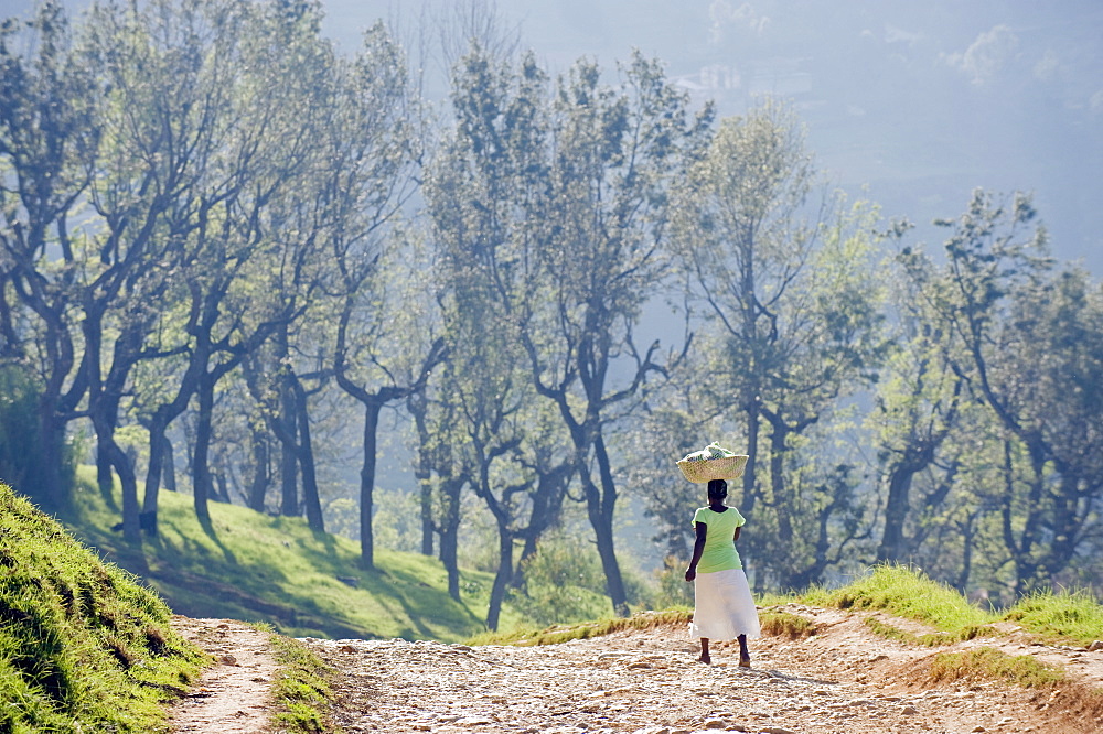 Woman carrying a basket on her head, Kenscoff Mountains above Port au Prince, Haiti, West Indies, Caribbean, Central America